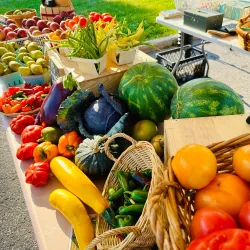Hawkesbury Farmers' Market - Hawkesbury