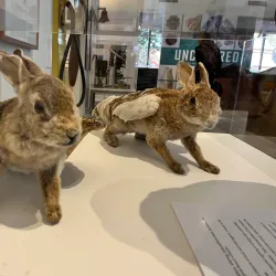 Hawkesbury Museum - Hawkesbury