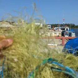 Hay River Farmers Market - Hay River