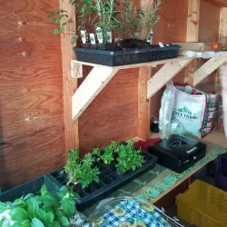 Hay River Farmers Market - Hay River