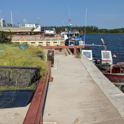 Hay River Farmers Market - Hay River