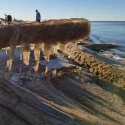 Hay River Fish Hatchery - Hay River