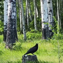 Hay River Golf Club - Hay River