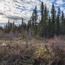 Hay River Walking Trails - Hay River