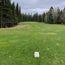 Hearst Golf Club - Hearst