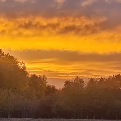 Fishing and Hunting Excursions - High Level