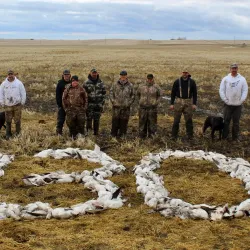 Fishing and Hunting Excursions - High Level