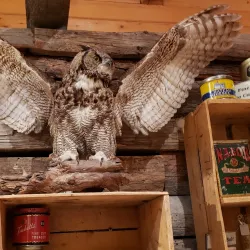 High Level Heritage Museum - High Level