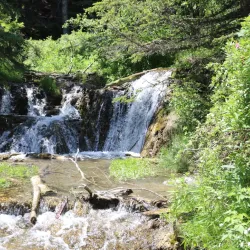 Nearby Provincial Parks - High Level