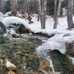 Nearby Provincial Parks - High Level