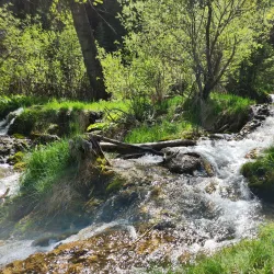 Nearby Provincial Parks - High Level