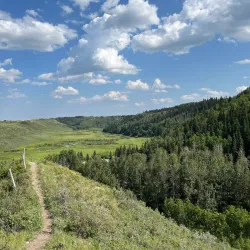 Nearby Provincial Parks - High Level