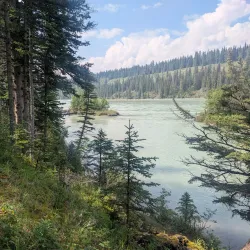 Athabasca River - Hinton