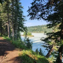 Athabasca River - Hinton