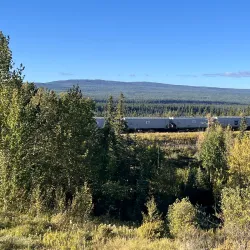 Athabasca River - Hinton
