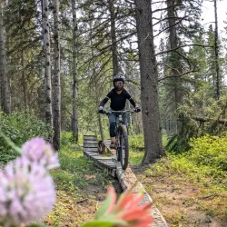 Beaver Boardwalk Trail - Hinton