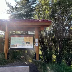 Beaver Boardwalk Trail - Hinton