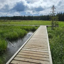 Beaver Boardwalk Trail - Hinton