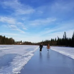 Beaver Boardwalk Trail - Hinton