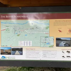 Beaver Boardwalk - Hinton