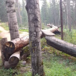 Hinton Bike Park - Hinton