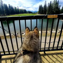 Hinton Golf Club - Hinton