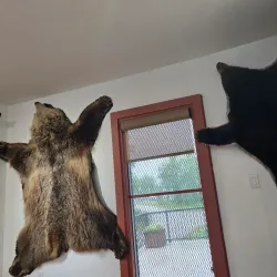 Hinton Historical Society Museum - Hinton