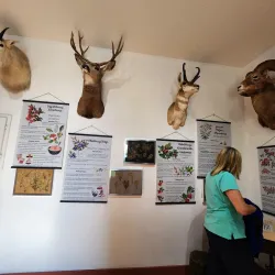 Hinton Historical Society Museum - Hinton