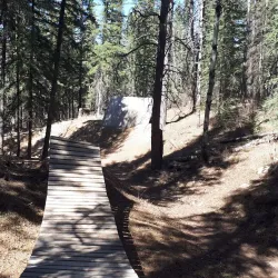 Hinton Trail System - Hinton