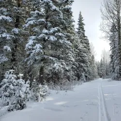 William A. Switzer Provincial Park - Hinton