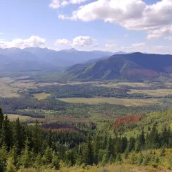 William A. Switzer Provincial Park - Hinton