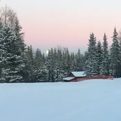 William A. Switzer Provincial Park - Hinton