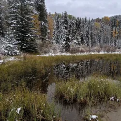 William A. Switzer Provincial Park - Hinton