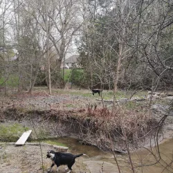 Holland Landing Community Centre - Holland Landing