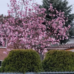 Holland Landing Community Centre - Holland Landing