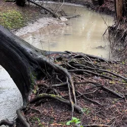 Holland Landing Community Centre - Holland Landing