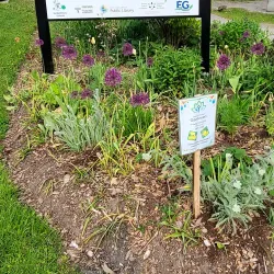 Holland Landing Community Centre - Holland Landing
