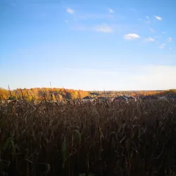 Holland Landing Conservation Area - Holland Landing