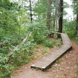 Holland Landing Conservation Area - Holland Landing