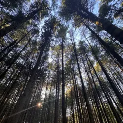 Holland Landing Conservation Area - Holland Landing
