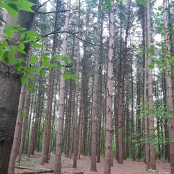 Holland Landing Conservation Area - Holland Landing