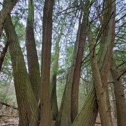 Holland Landing Conservation Area - Holland Landing