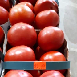 Holland Landing Farmers' Market - Holland Landing