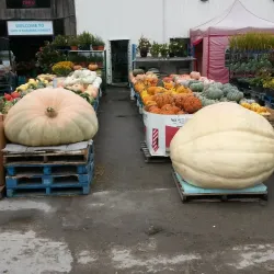 Holland Landing Farmers' Market - Holland Landing