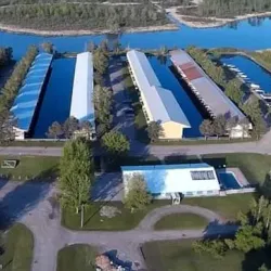 Holland Landing Marina - Holland Landing