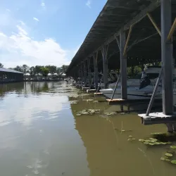 Holland Landing Marina - Holland Landing