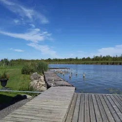 Holland Landing Marina - Holland Landing