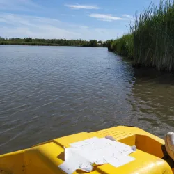 Holland Landing Marina - Holland Landing
