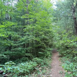 Holland Landing Trail System - Holland Landing