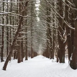 Holland Landing Trail System - Holland Landing